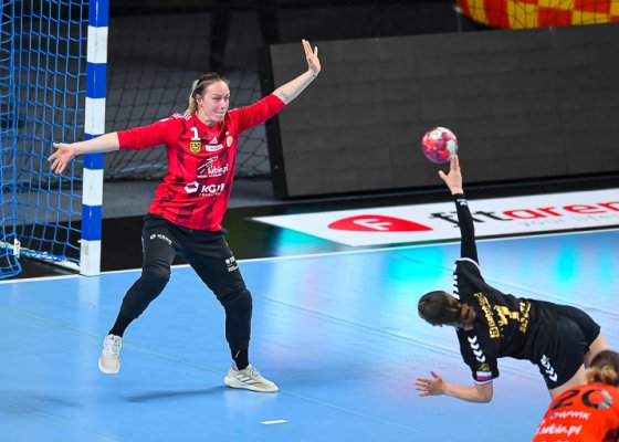 MKS Zagłębie Lubin – KPR Ruch Chorzów 40:28 (19:14)